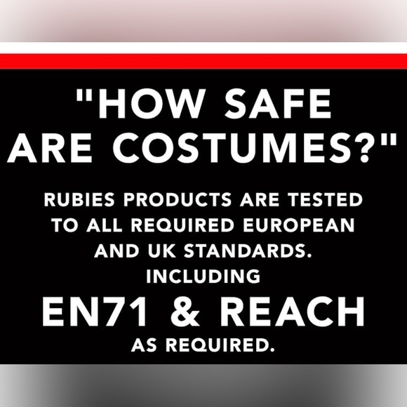 Rubies Robin from Teen Titans Costume - Picture 2 of 3